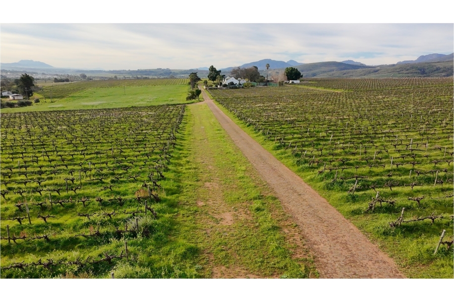 0 Bedroom Property for Sale in Paarl Rural Western Cape